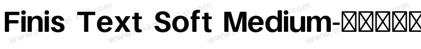 Finis Text Soft Medium字体转换